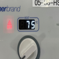 Fisherbrand Isotemp Hotplate Stirrer image 2